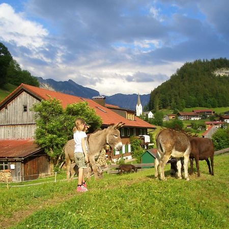 Haus Willi Apartment Oberstdorf Ngoại thất bức ảnh
